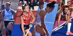 LEONAS Y LEONES SUELTOS EN SALTA