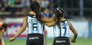 AMISTOSOS DE LAS LEONAS Y LAS LEONCITAS